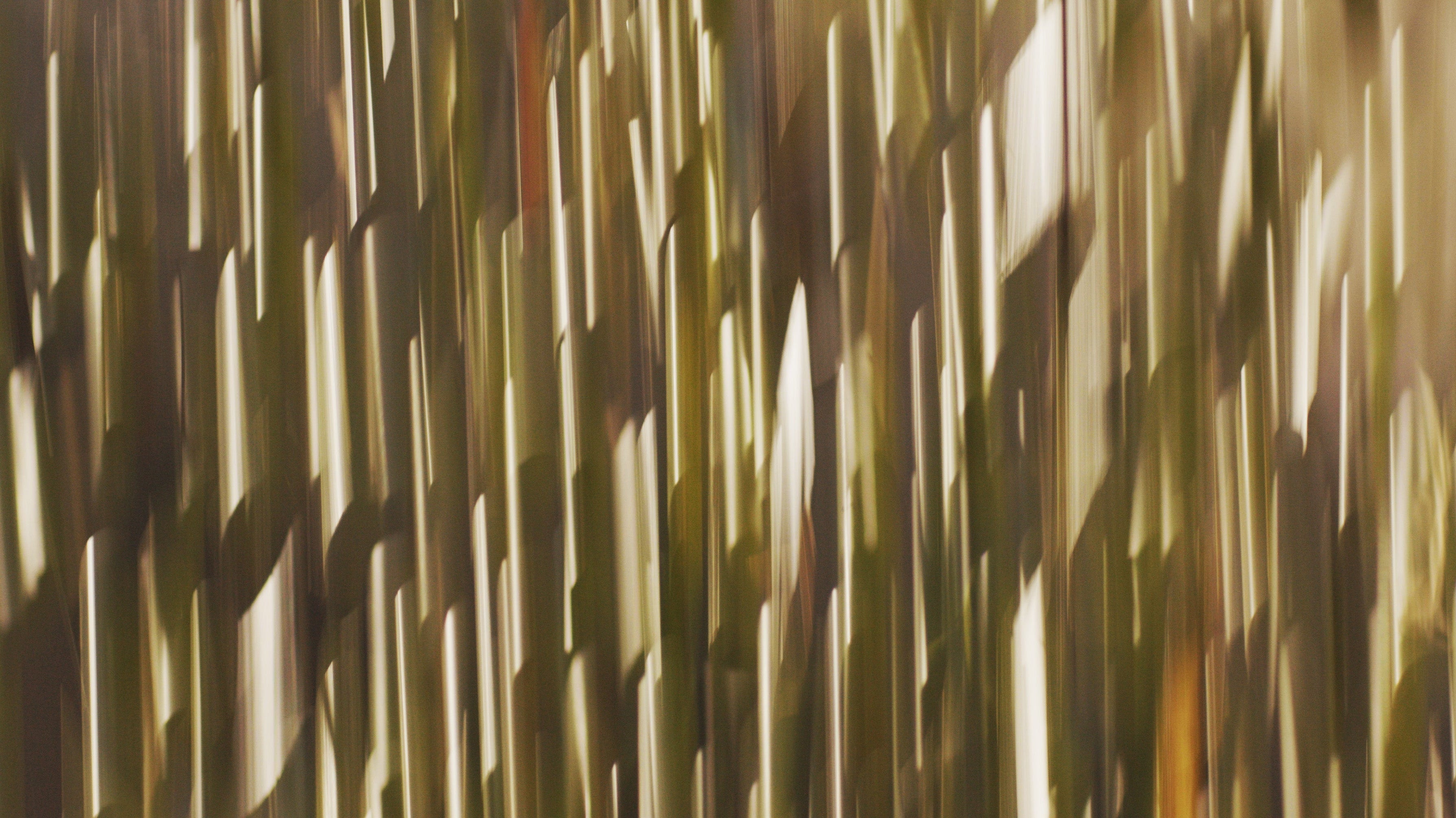 CORSO DI DEGUSTAZIONE