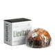 Lievitato all’Olio EVO con cioccolato fondente e albicocca - 500 g