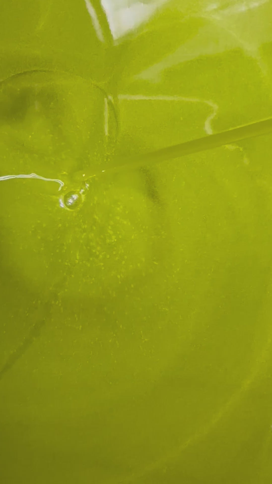 Amerigo - Olio Extra Vergine di Oliva Italiano